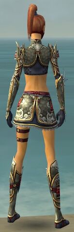 File:Assassin Monument Armor F gray back.jpg