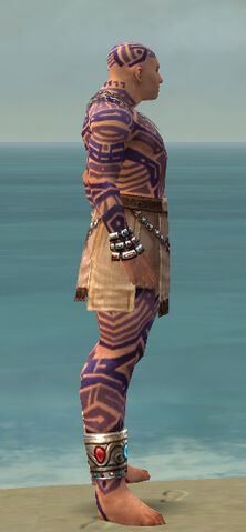 File:Monk Labyrinthine Armor M dyed side.jpg