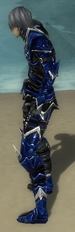 File:Necromancer Elite Profane Armor M dyed side.jpg