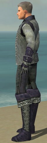 File:Mesmer Elite Elegant Armor M dyed side.jpg