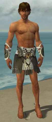 File:Paragon Elite Sunspear Armor M gray arms legs front.jpg