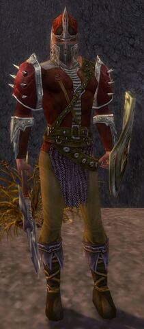 File:Ascalon Soldier.jpg