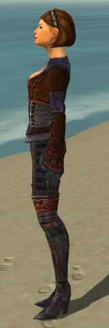 File:Mesmer Elite Rogue Armor F dyed side.jpg