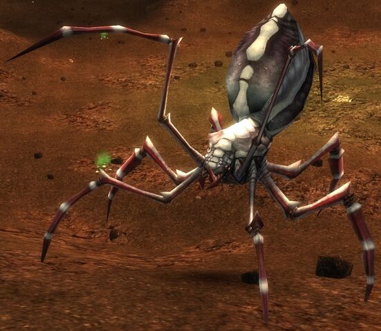 File:Arachni.jpg