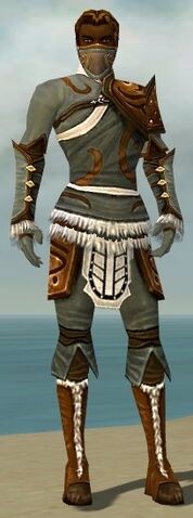 File:Ranger Canthan Armor M gray front.jpg