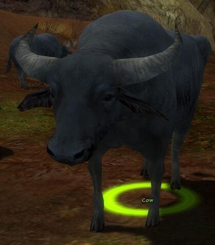 File:Cow.jpg