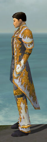 File:Elementalist Iceforged Armor M dyed side.jpg