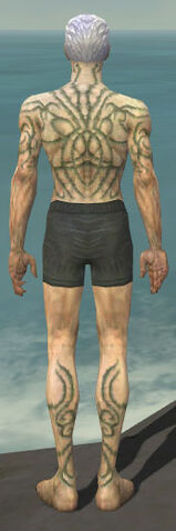 File:Necromancer Scar Pattern Armor M gray chest feet back.jpg
