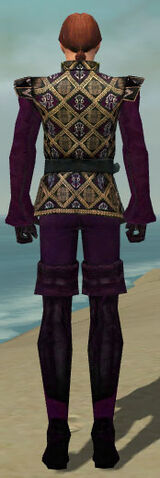 File:Mesmer Courtly Armor M dyed back.jpg