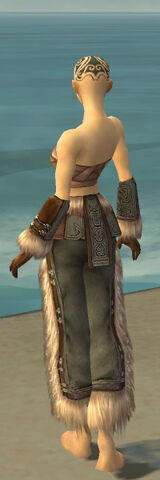 File:Monk Norn Armor F gray arms legs back.jpg