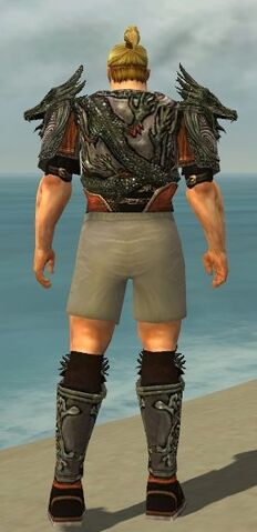 File:Warrior Elite Canthan Armor M gray chest feet back.jpg