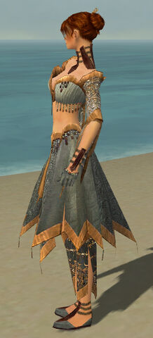File:Elementalist Vabbian Armor F gray side.jpg