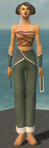 File:Monk Ascalon Armor F gray arms legs front.jpg