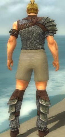 File:Warrior Krytan Armor M gray chest feet back.jpg