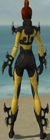 File:Assassin Kurzick Armor F dyed back.jpg