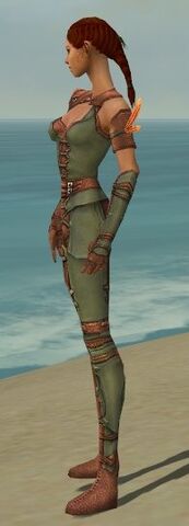 File:Ranger Ascalon Armor F gray side alternate.jpg