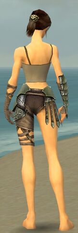File:Warrior Elite Gladiator Armor F gray arms legs back.jpg
