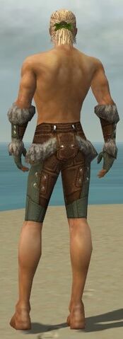 File:Ranger Fur-Lined Armor M gray arms legs back.jpg
