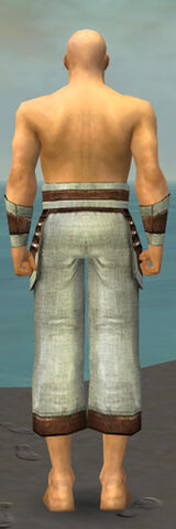 File:Monk Censor Armor M gray arms legs back.jpg