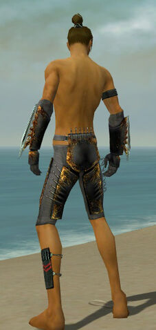 File:Assassin Exotic Armor M gray arms legs back.jpg
