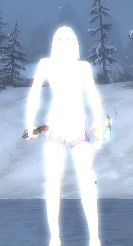 File:Full body chaos armour.jpg