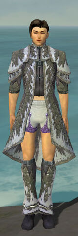 File:Elementalist Iceforged Armor M gray chest feet front.jpg