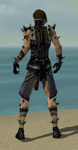 File:Necromancer Obsidian Armor M dyed back.jpg