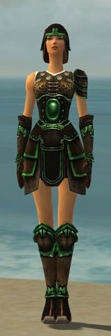 File:Warrior Shing Jea Armor F dyed front.jpg