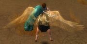 Chant wings down animation