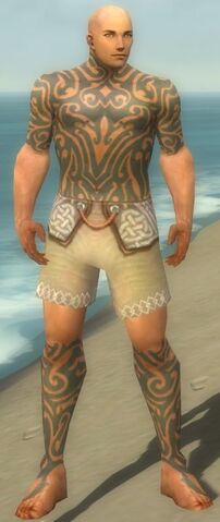 File:Monk Flowing Armor M gray chest feet front.jpg