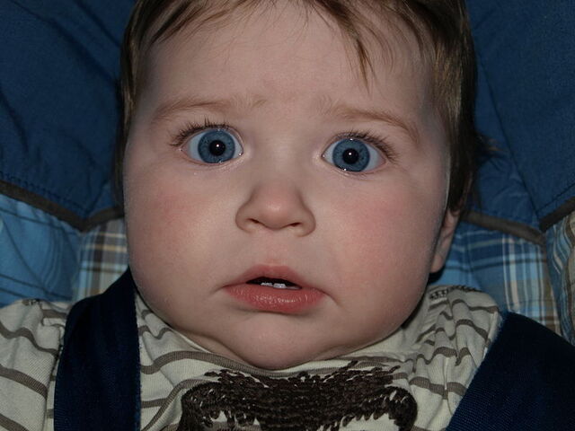 File:Babyjoe.jpg