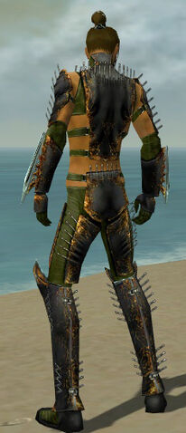 File:Assassin Exotic Armor M dyed back.jpg