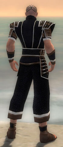 File:Monk Elite Judge Armor M dyed back.jpg
