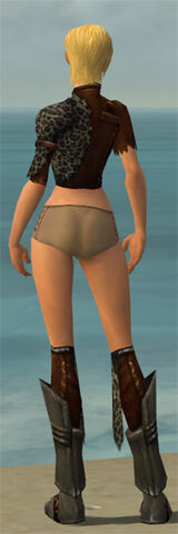 File:Ranger Istani Armor F gray chest feet back.jpg