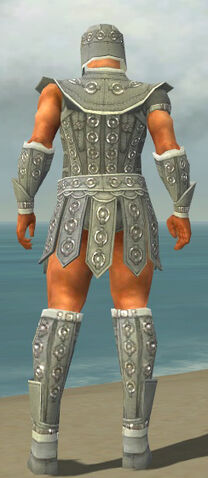 File:Warrior Ascalon Armor M gray back.jpg