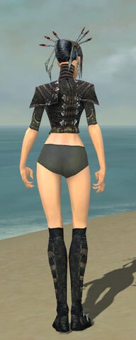File:Necromancer Elite Cultist Armor F gray chest feet back.jpg