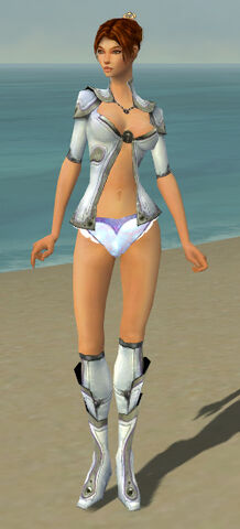 File:Elementalist Ascalon Armor F gray chest feet front.jpg