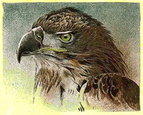 File:Melandru's Vigilance.jpg