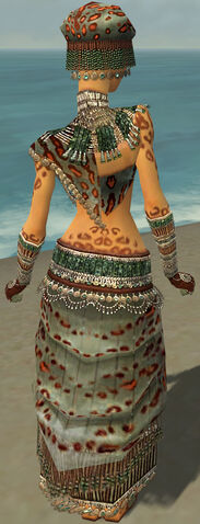 File:Ritualist Elite Exotic Armor F gray back.jpg