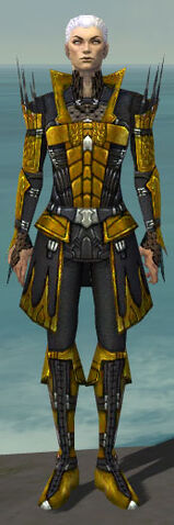 File:Necromancer Cabal Armor M dyed front.jpg
