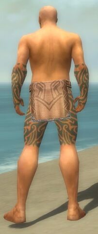 File:Monk Flowing Armor M gray arms legs back.jpg