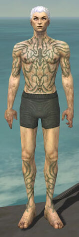 File:Necromancer Scar Pattern Armor M gray chest feet front.jpg