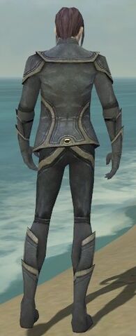 File:Elementalist Ascalon Armor M gray back.jpg