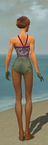 File:Mesmer Elite Canthan Armor F gray arms legs back.jpg