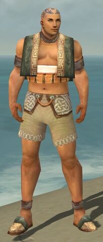 File:Monk Vabbian Armor M gray chest feet front.jpg