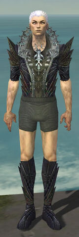 File:Necromancer Krytan Armor M gray chest feet front.jpg