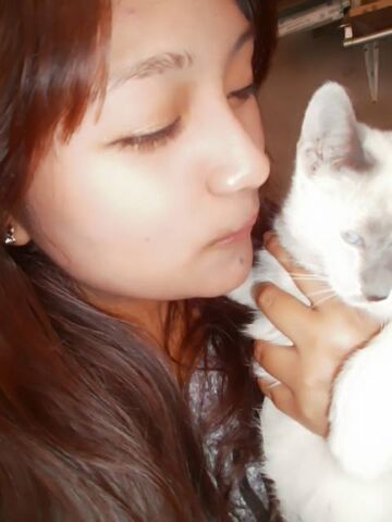 File:Miu neko.jpg
