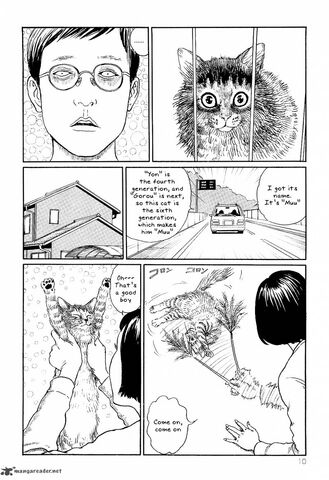 File:Ito-junjis-cat-diary-2241301.jpg