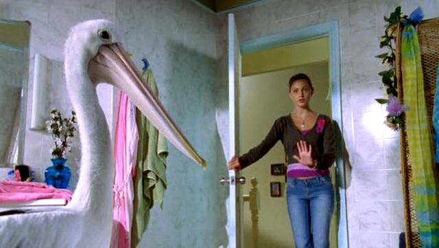 File:Cleo Finds a Pelican.jpg