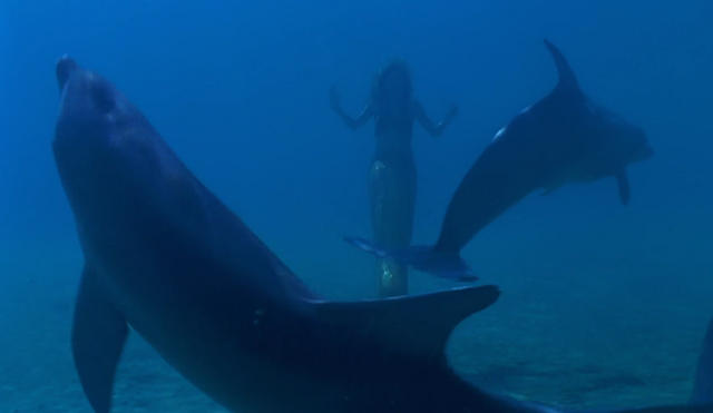 File:Frolicing With Dolphines.png